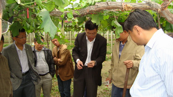 �ֳ�����ָ��