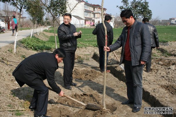 ֲ����ֳ�