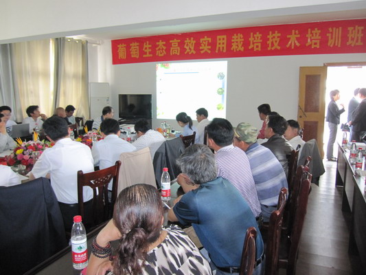 ������̬��Чʵ�����༼����ѵ������ѵ���ֳ�