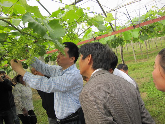 ר���ֳ���������ֲ�����м���ָ��