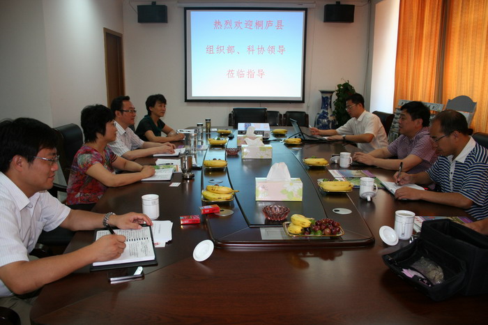 ˫����������