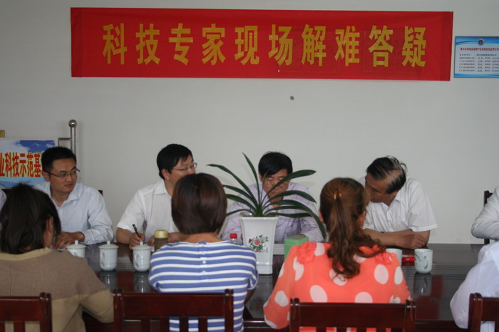 ��չ�Ƽ���ѯ