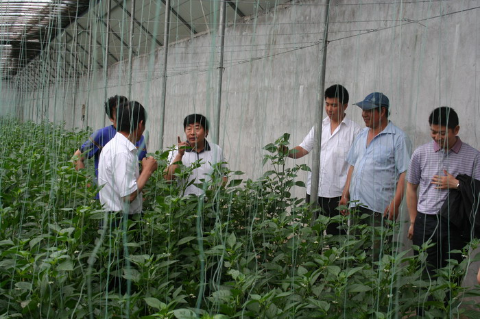 ���ջ�ũ������Ŀ�ֳ�����ָ��