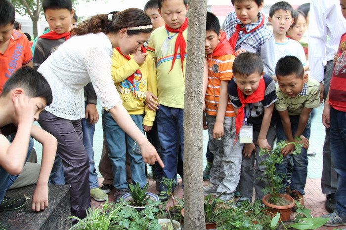科学小种植展示