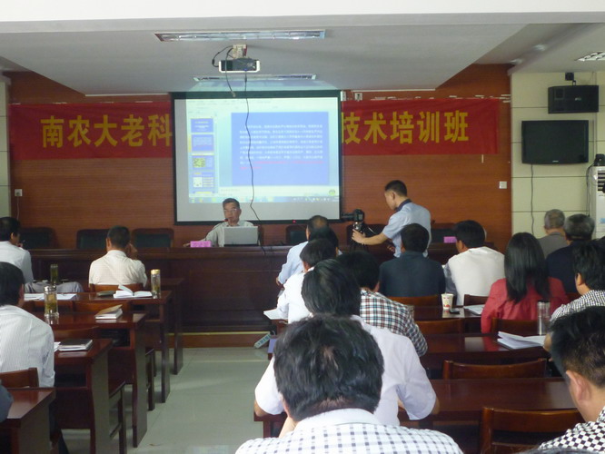 �ٰ�Ƽ�����