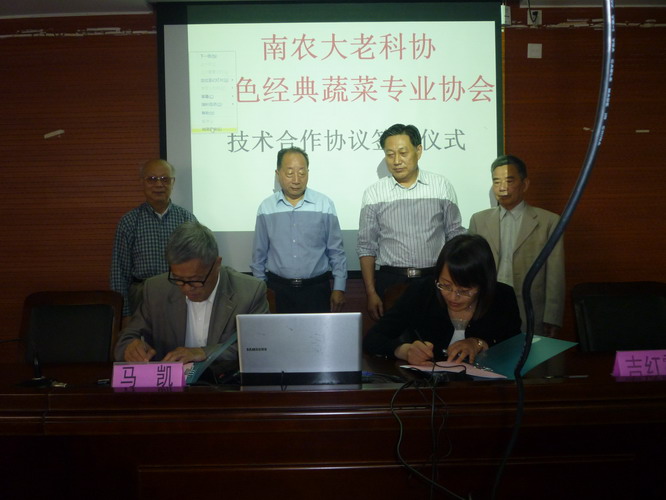 ����ǩԼ��ʽ