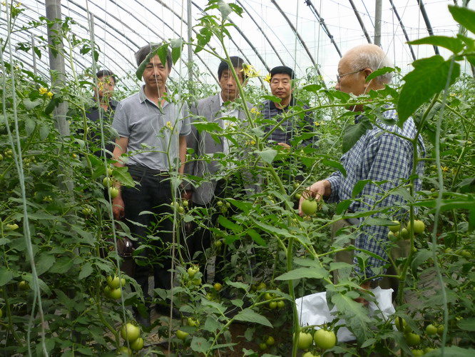 �ֳ��Ƽ�����