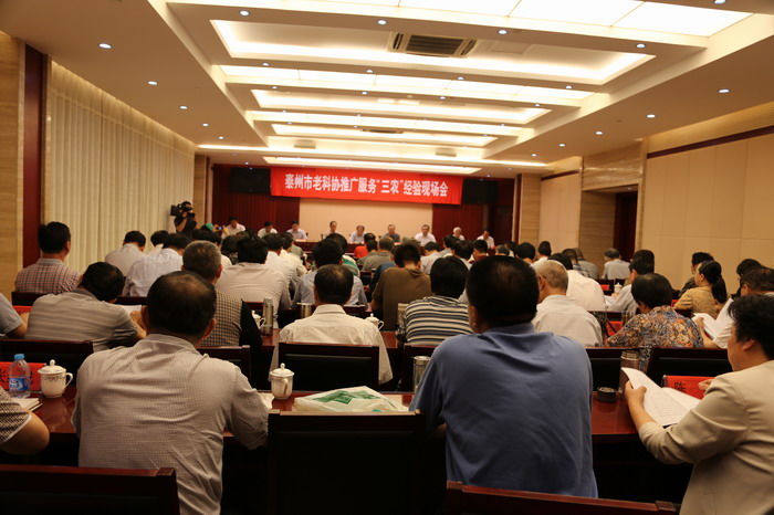 �����ֳ�