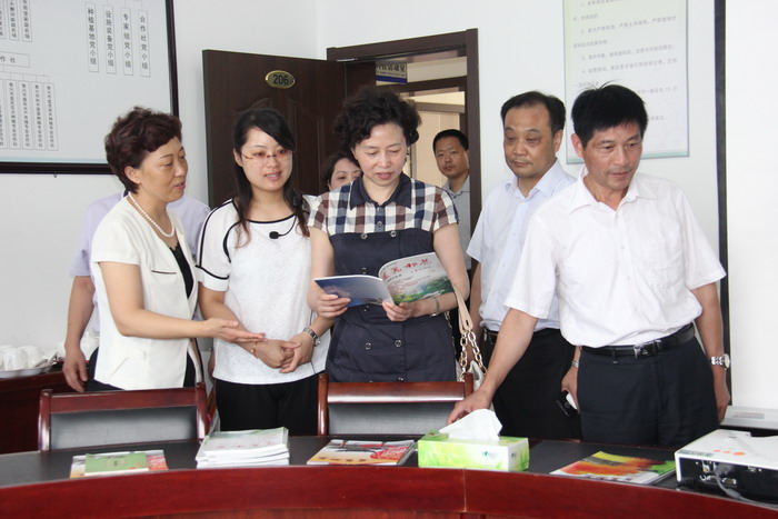 实地查看黄桥镇祁巷村创建台账