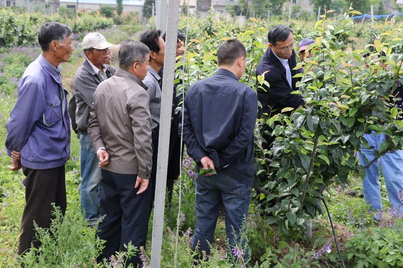 �ֳ�����ָ��