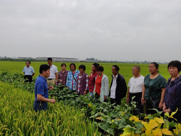 ũ��ר������ͷ����ָ��